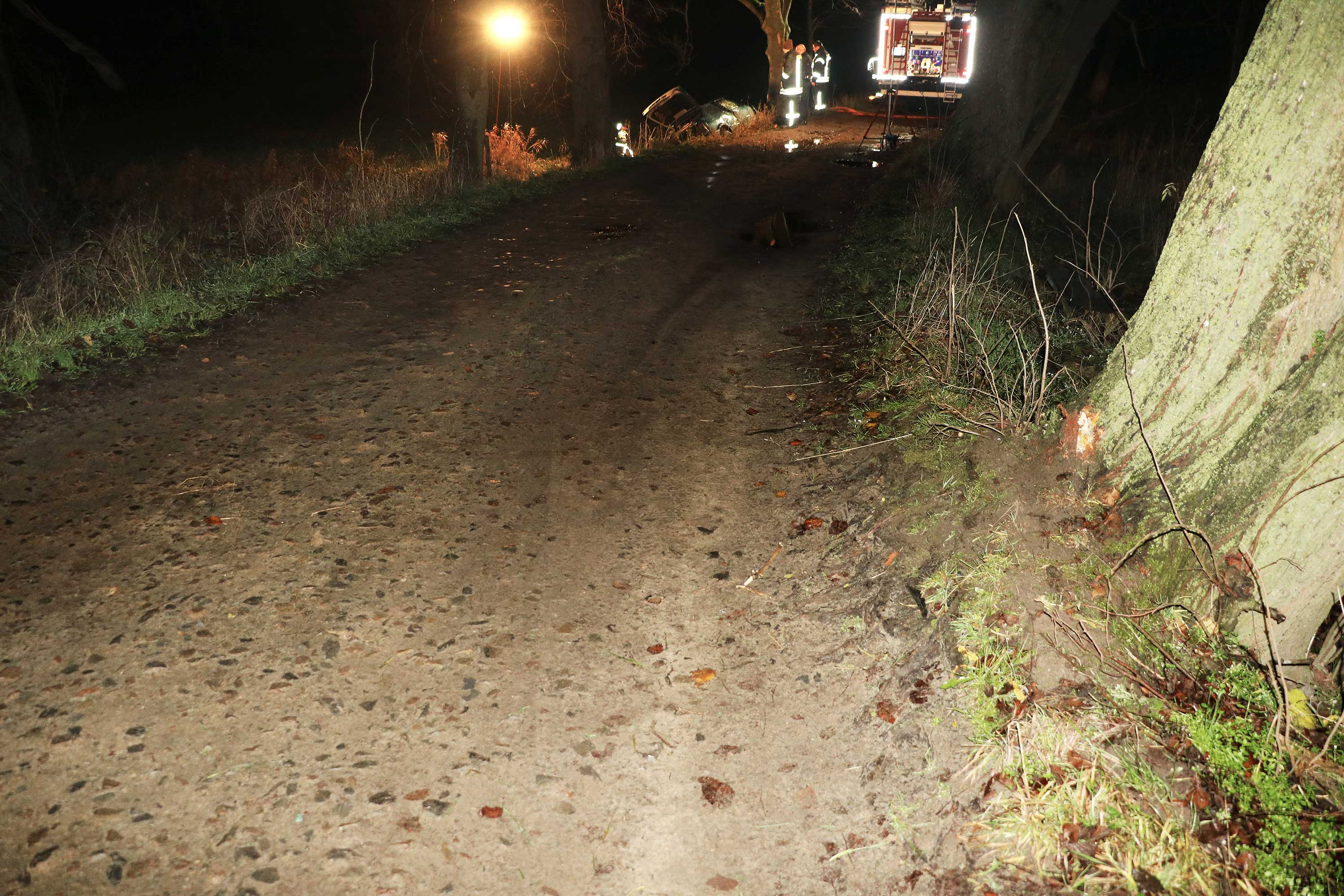 Marks from where the car collided with the tree