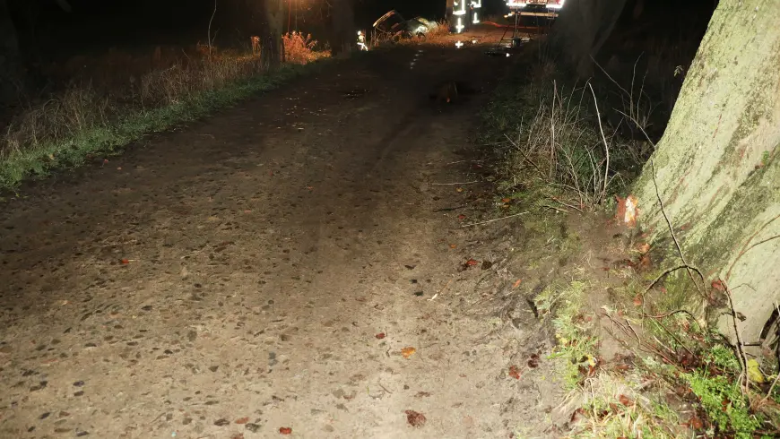 Traces de la collision sur l’arbre