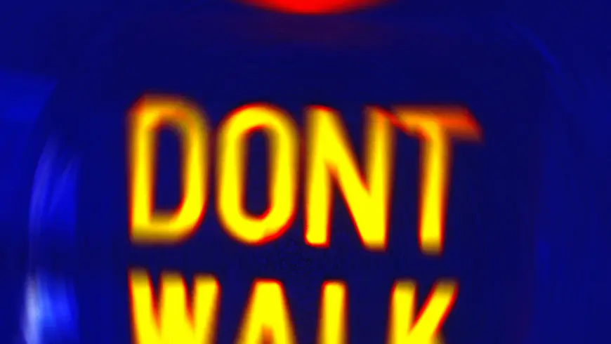 Pedestrian light with additional information prompting pedestrians to wait