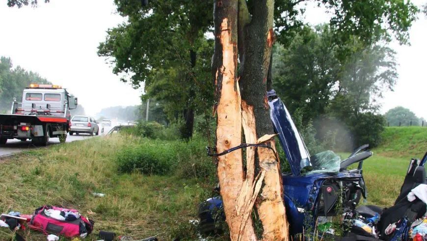 Posizione finale del veicolo incidentato
