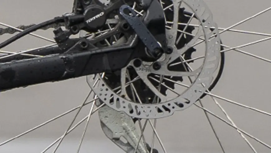 Rear disc brake