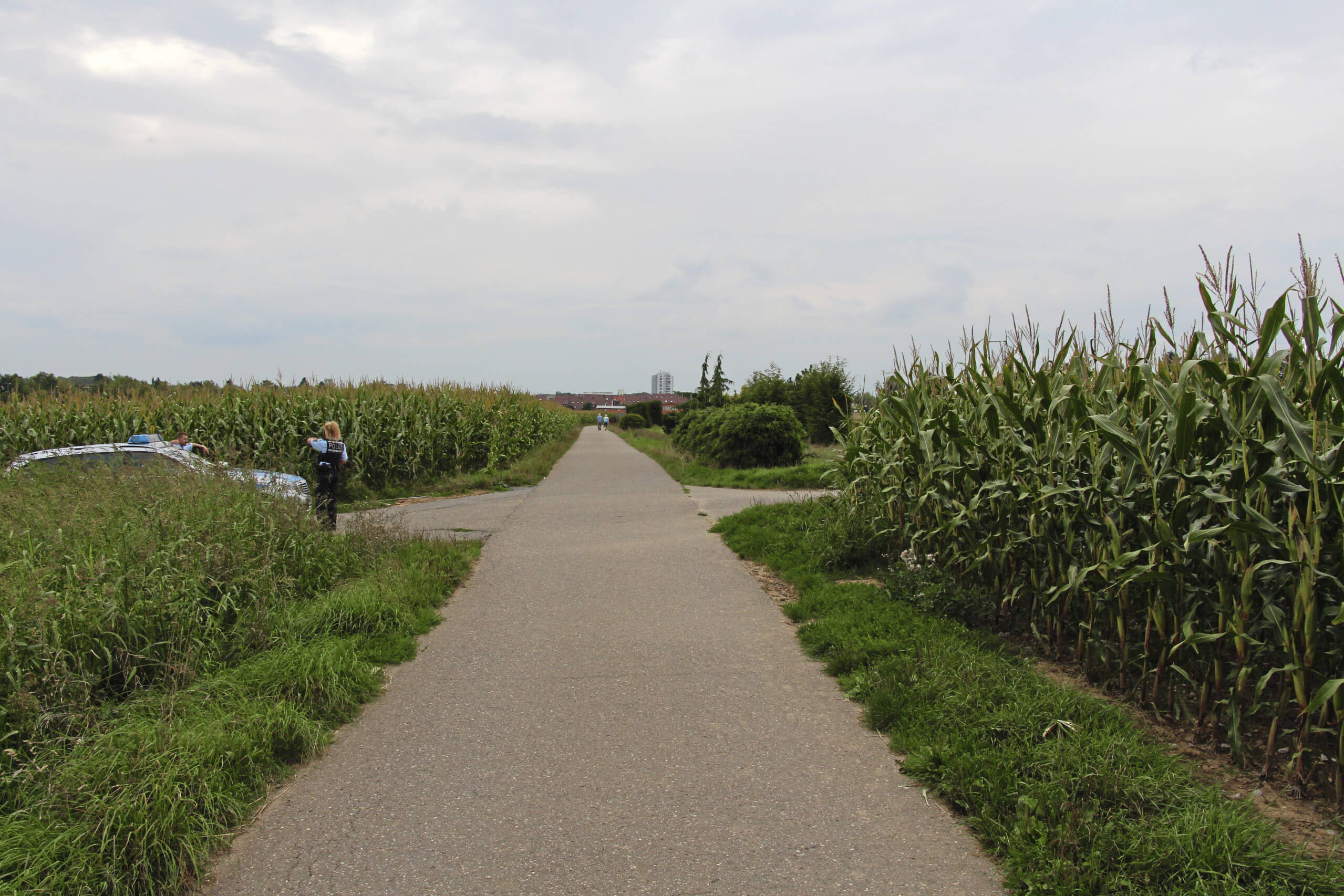 Cyclist’s perspective