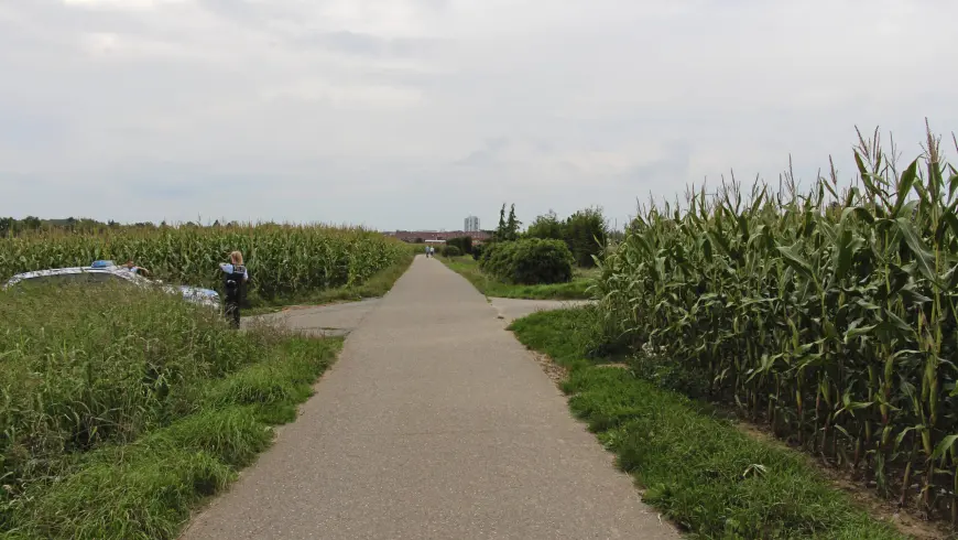 Visuale della ciclista