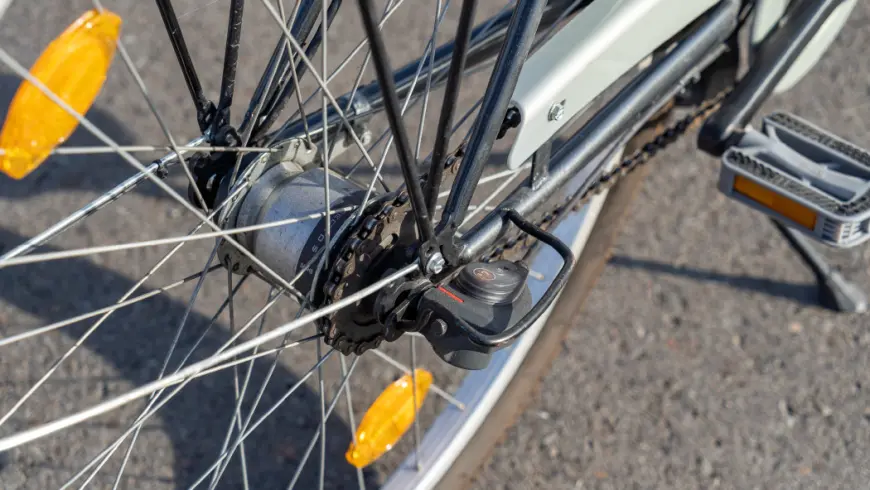 Hub gear with coaster brake