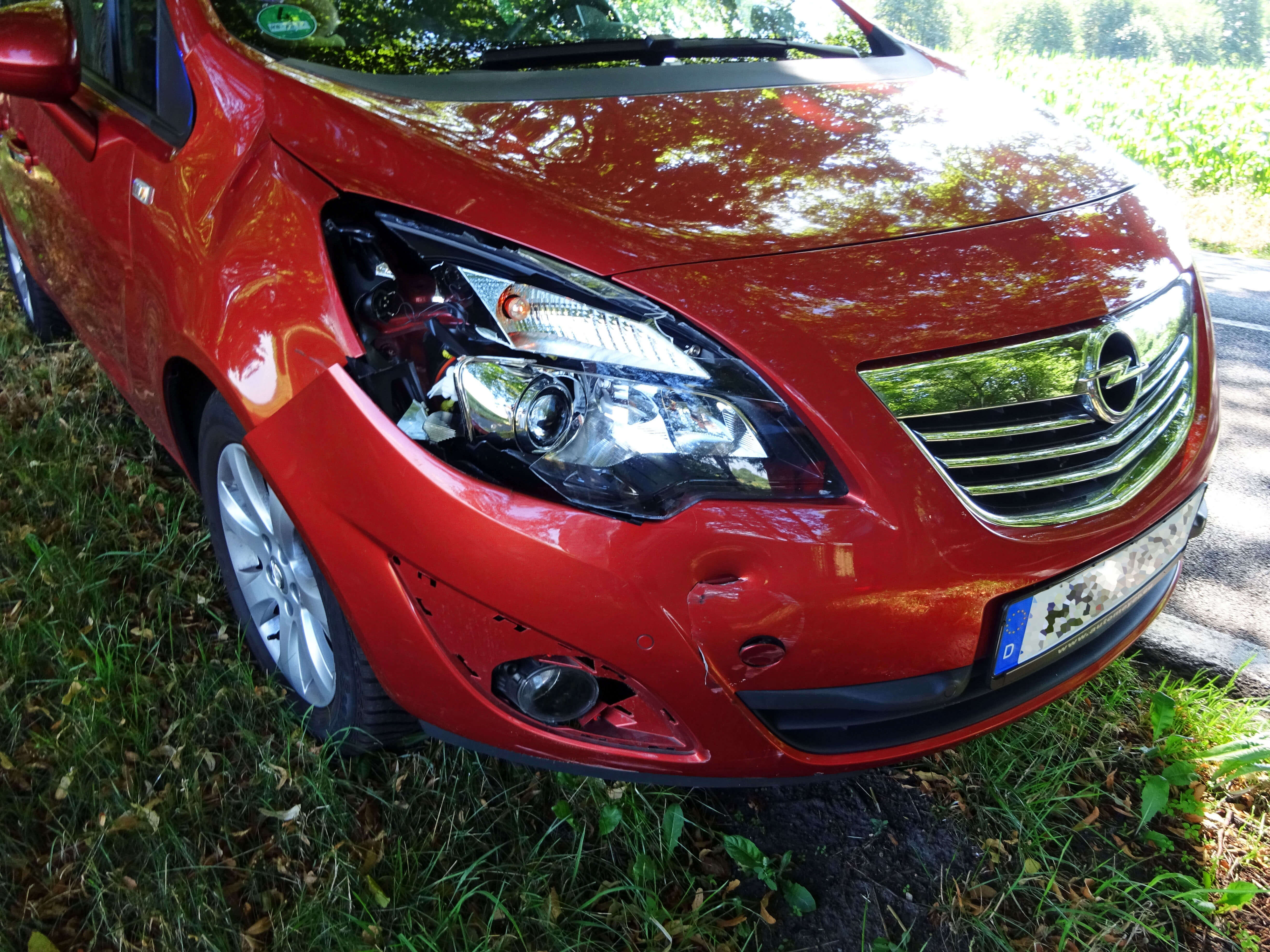 Vehicles involved in the accident