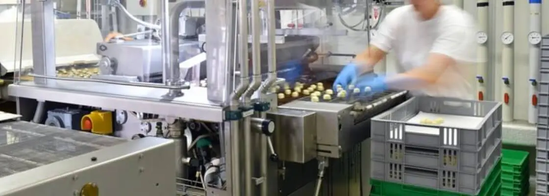 Linia produkcyjna w przemyśle spożywczym. Certyfikacja i audyt dla branży spożywczej i rolnictwa Linia produkcyjna w przemyśle spożywczym. Certyfikacja i audyt dla branży spożywczej i rolnictwa