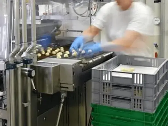 Linia produkcyjna w przemyśle spożywczym. Certyfikacja i audyt dla branży spożywczej i rolnictwa