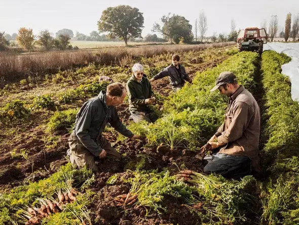 Certyfikacja VLOG Certyfikacja VLOG