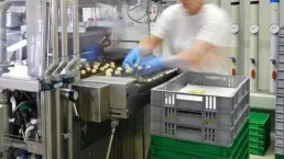 Linia produkcyjna w przemyśle spożywczym. Certyfikacja i audyt dla branży spożywczej i rolnictwa Linia produkcyjna w przemyśle spożywczym. Certyfikacja i audyt dla branży spożywczej i rolnictwa