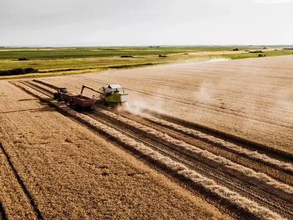 Certyfikacja REDCert