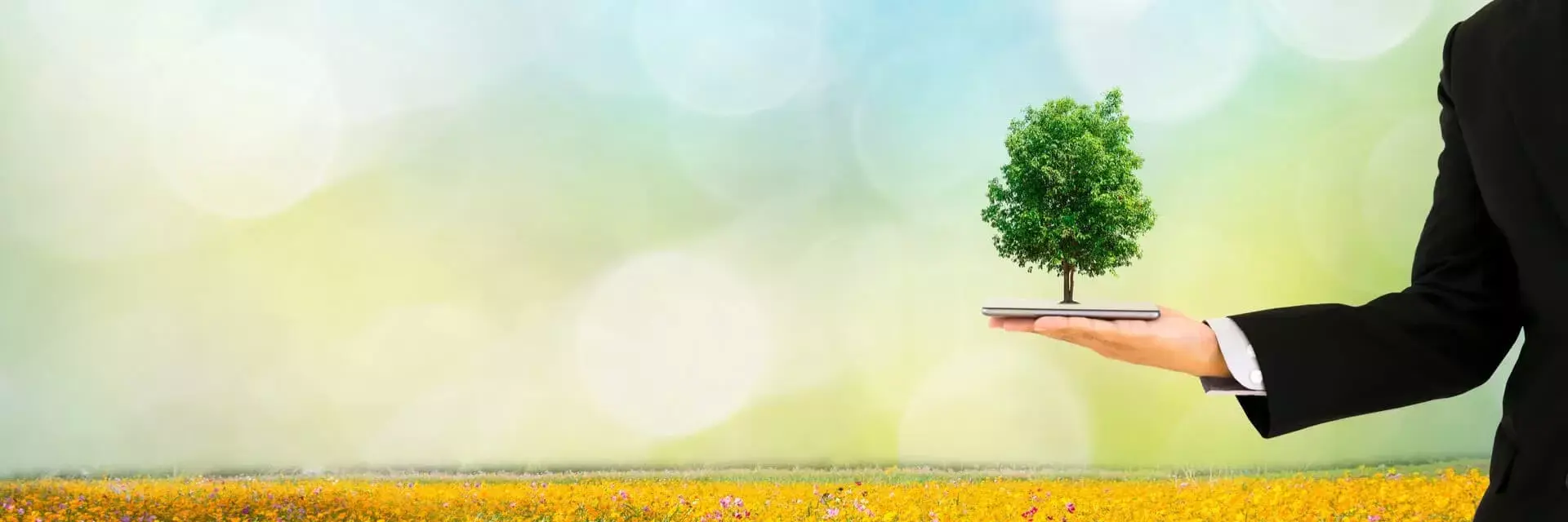 Dłoń mężczyzny trzymająca drzewo, symbolizująca zarządzanie bezpieczeństwem zdrowia i środowiskiem