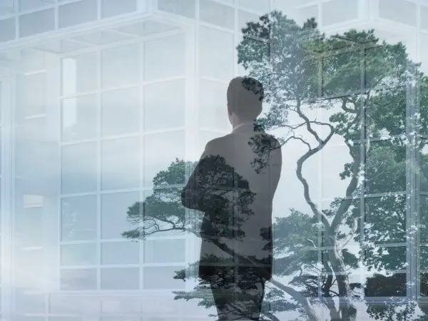 Sylwetka mężczyzny stojącego przy oknie biura, z widokiem na drzewa, symbolizująca zrównoważony rozwój i odpowiedzialność biznesu DEKRA