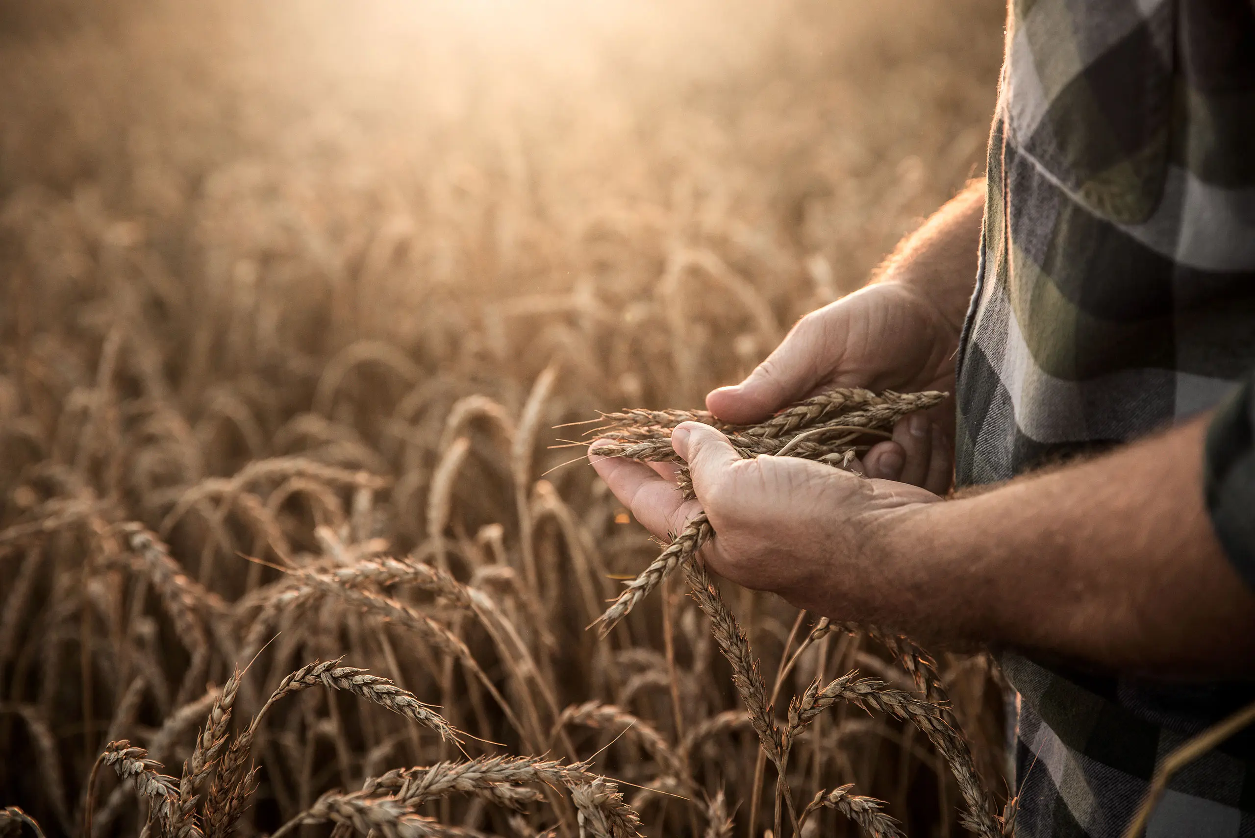 Quality Management Certification Food & Feed 