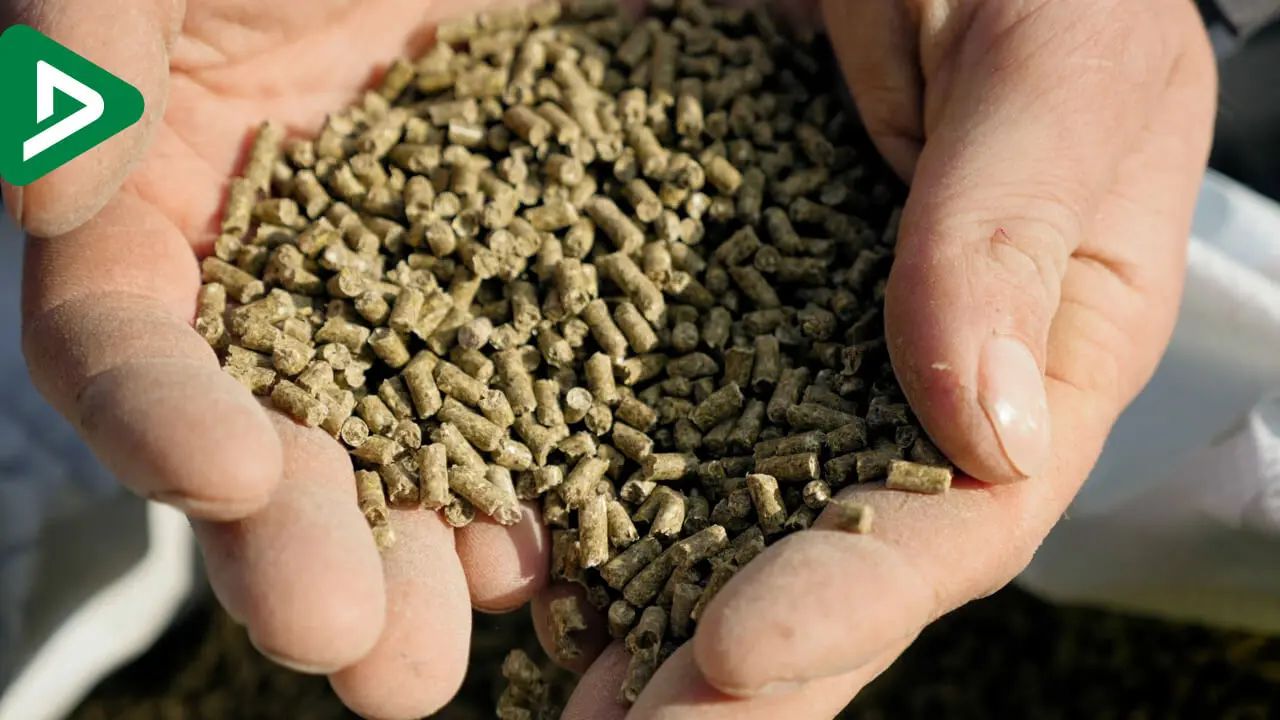 Video GMP+ Zertifizierung