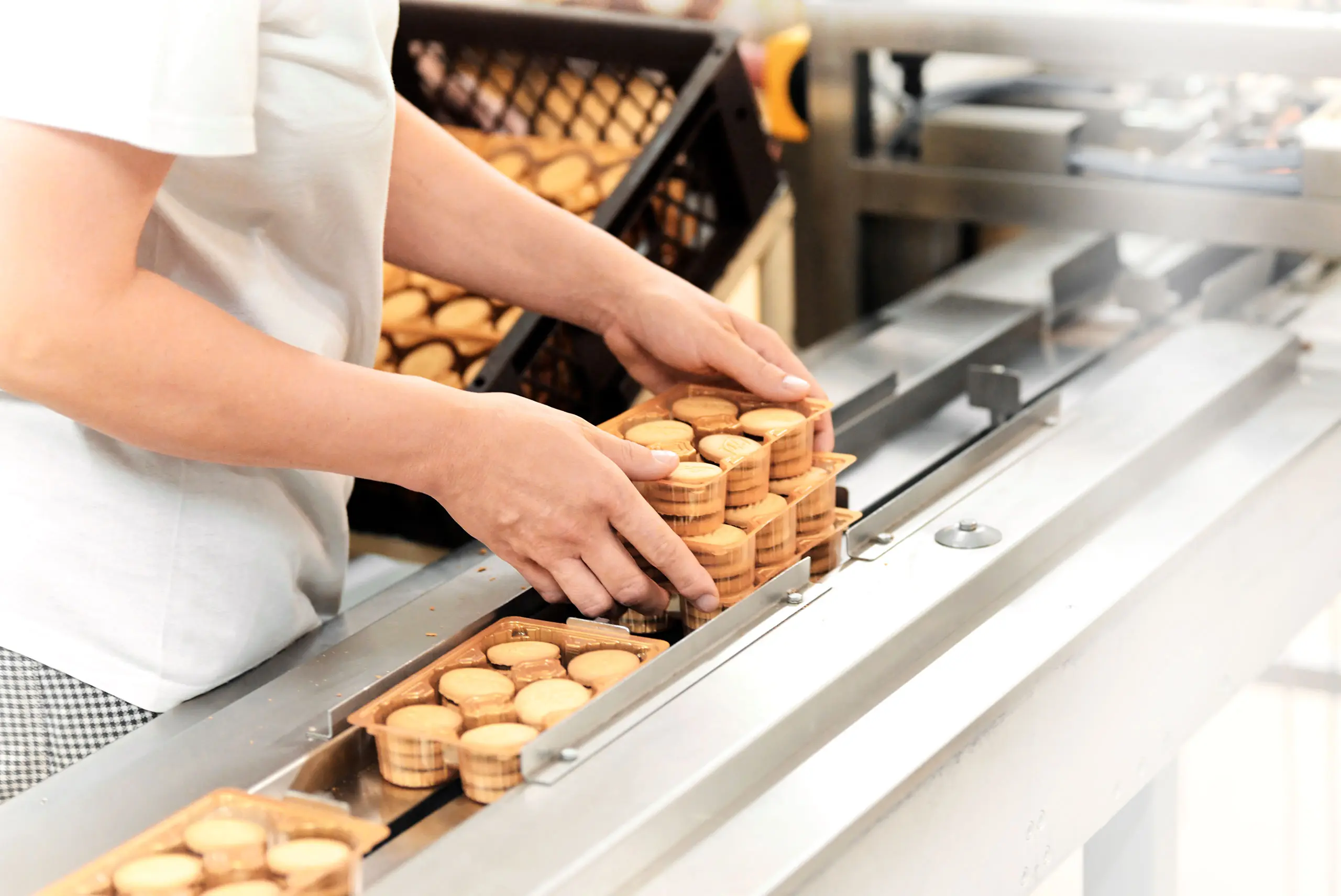 IFS Food Zertifizierung