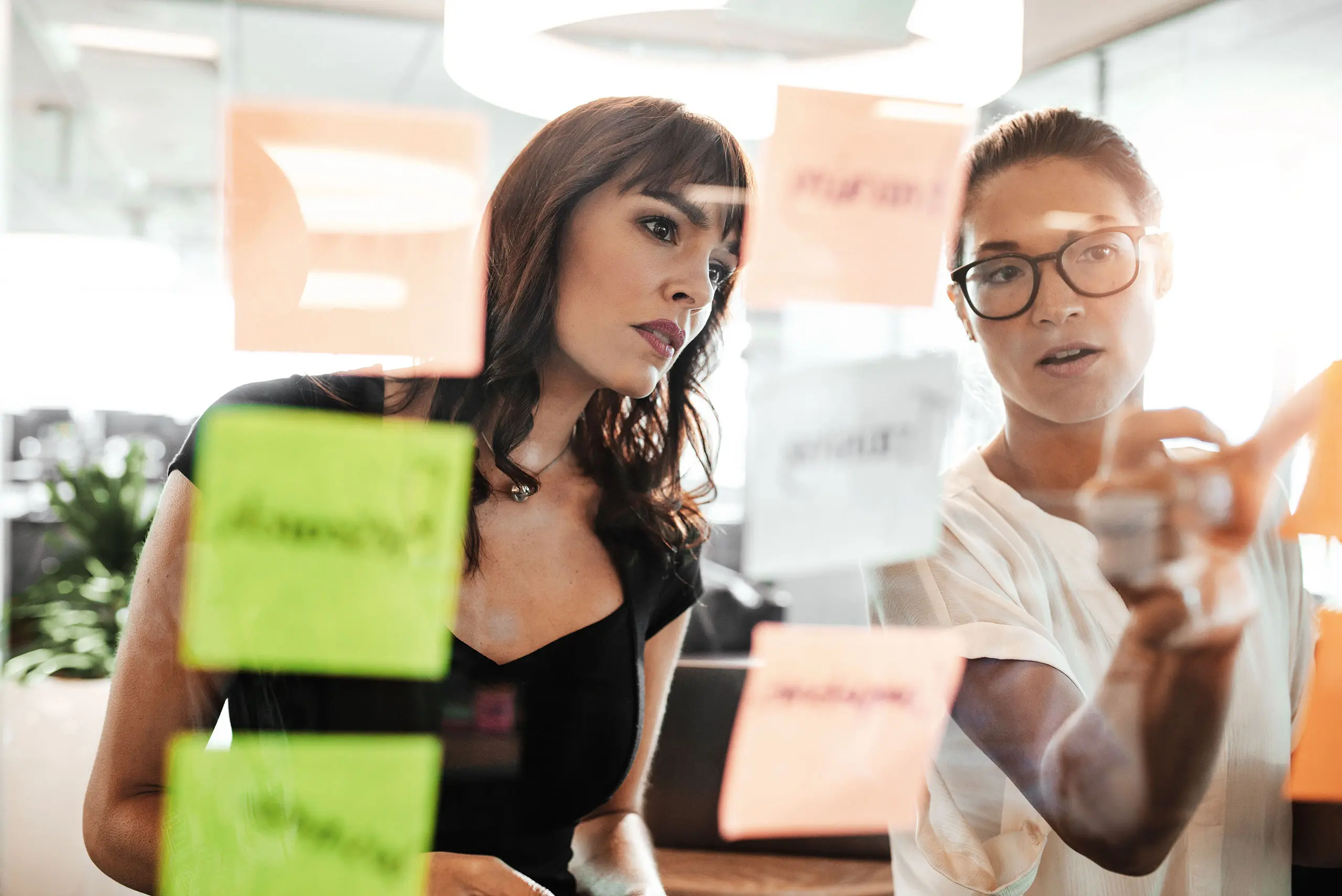 ISO 20252 Zertifizierung