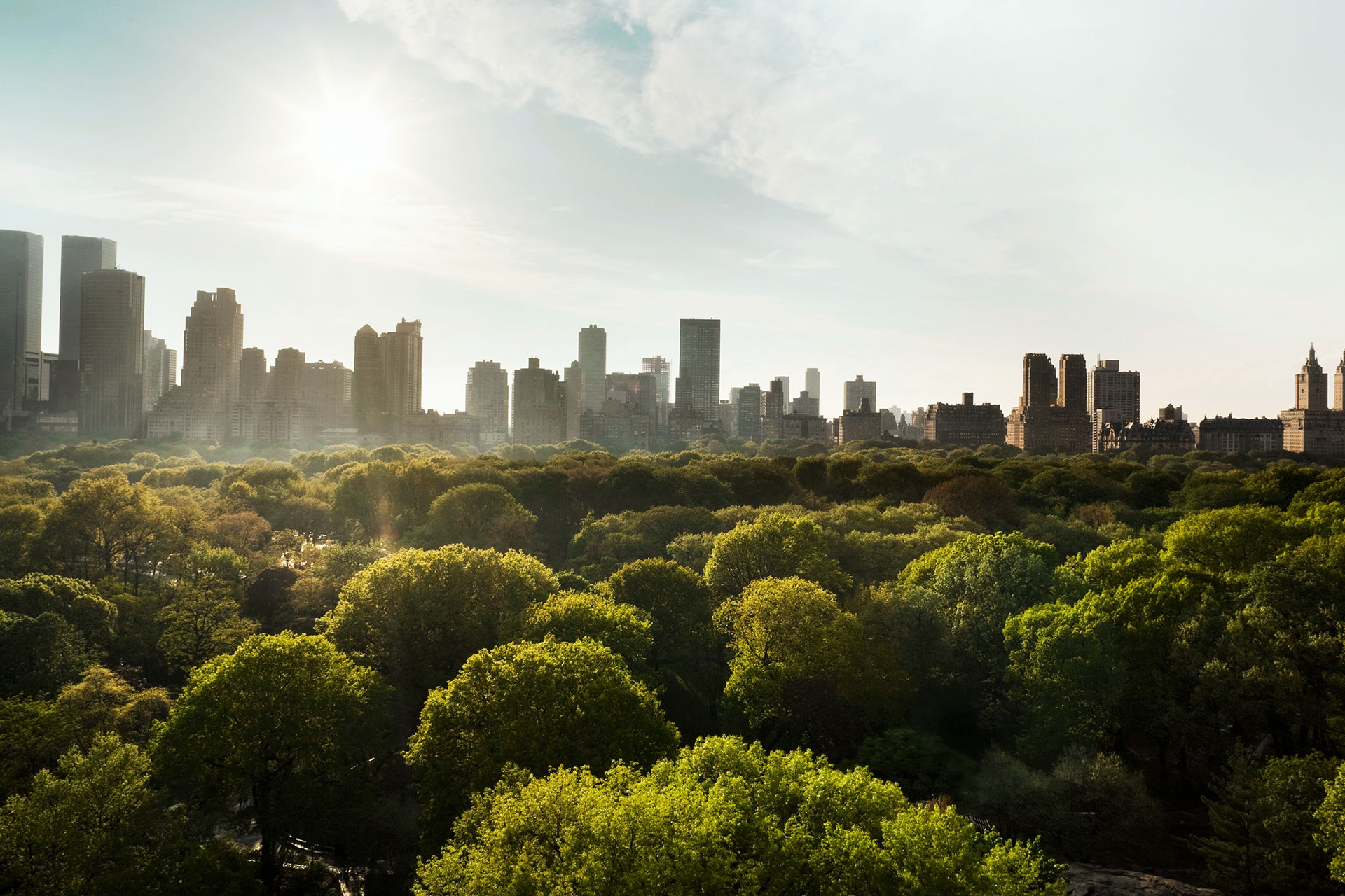 City behind a forest