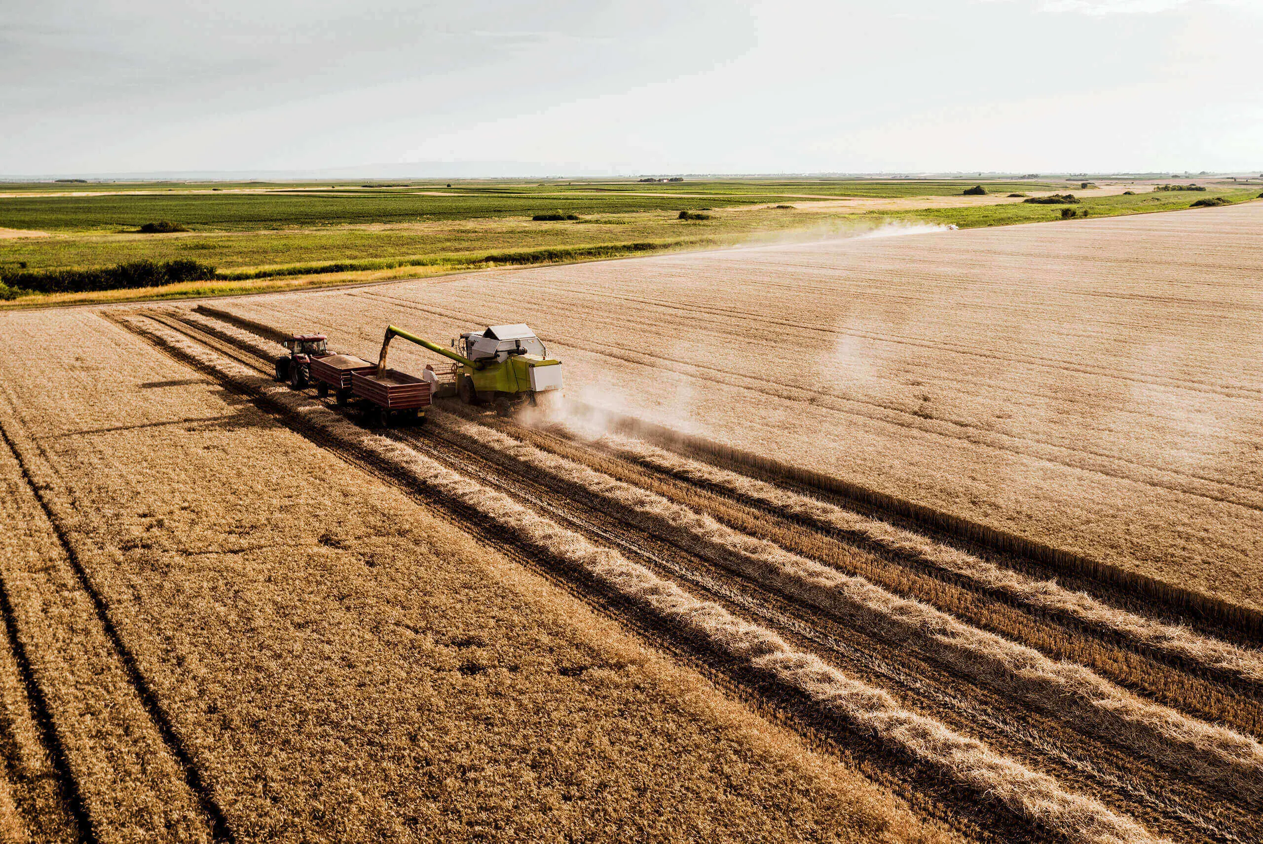 REDcert Zertifizierung REDcert Zertifizierung