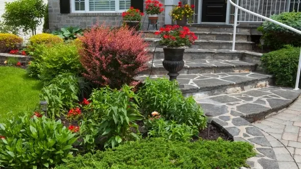 fűszer- és gyógynövény termesztő