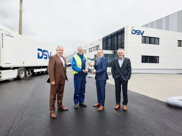 dsv