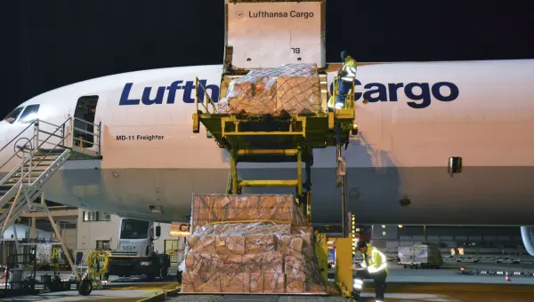 lufthansa, flugzeug lufthansa, flugzeug