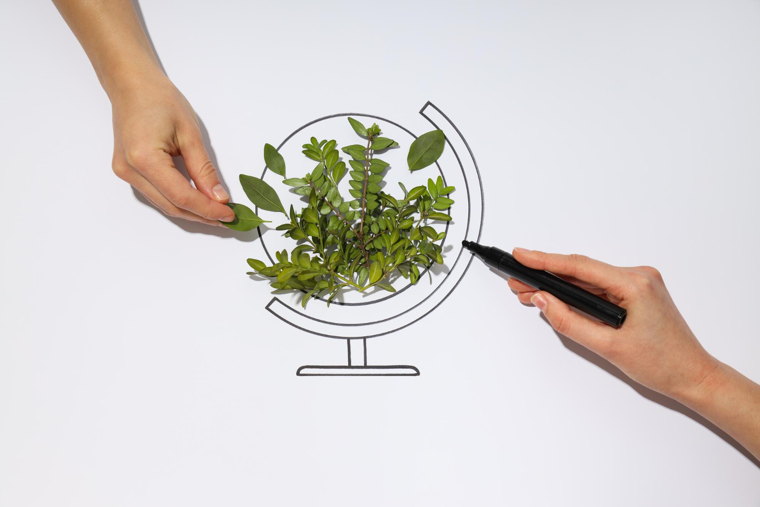 Diferencias informe ESG con memoria sostenibilidad gri Diferencias informe ESG con memoria sostenibilidad gri