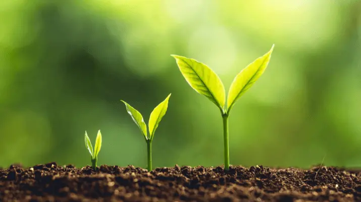 Verificación GRI Memoria de sostenibilidad