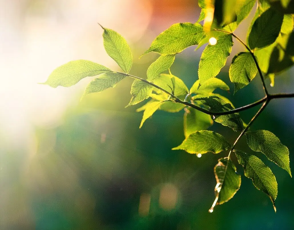 Sustainability reporting according to CSRD and ESRS Sustainability reporting according to CSRD and ESRS