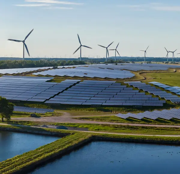 Åkrar av gräs med flera vindkraftverk längs horisonten och solpaneler längs marken.