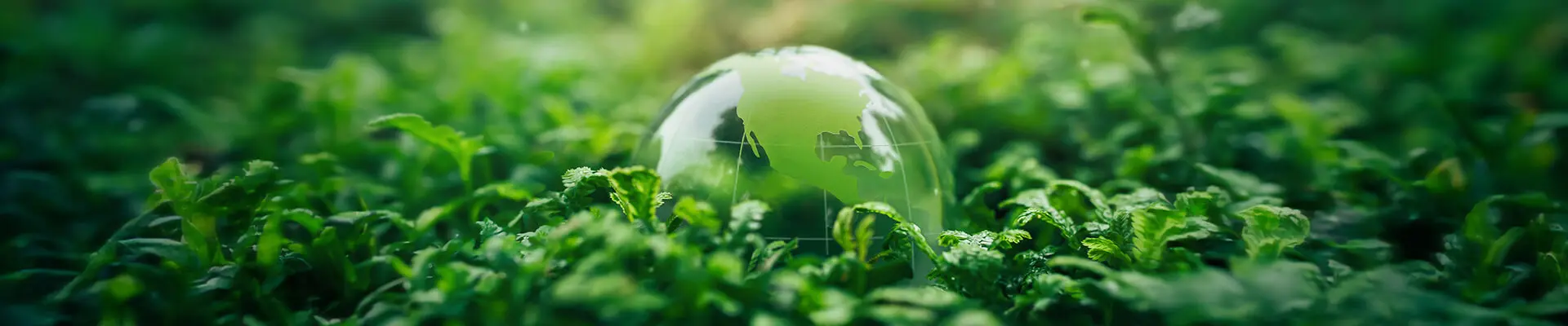 An illustrated globe lying on the ground surrounded by dense foliage. An illustrated globe lying on the ground surrounded by dense foliage.