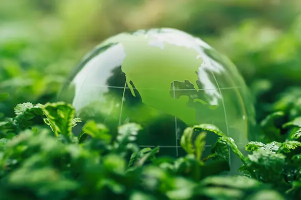 An illustrated globe lying on the ground surrounded by dense foliage.