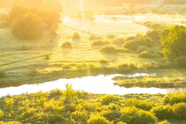 Green fields with a stream dividing and with the sun shining with sunset.