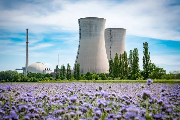 Industrianläggning bakom en blommande äng med lila blommor och gröna träd.