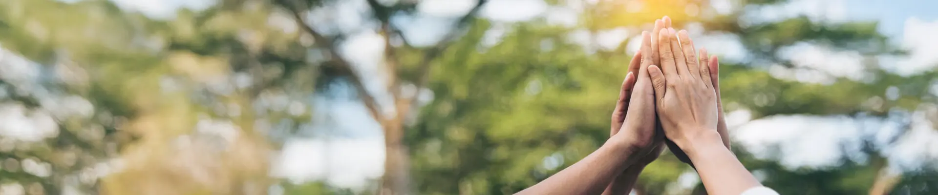 En solig skogmiljö där fyra händer gör en high five för att visa lagkänsla