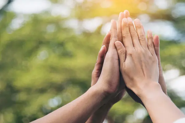 A sunny forest environment where four hands do a high five to show team spirit A sunny forest environment where four hands do a high five to show team spirit