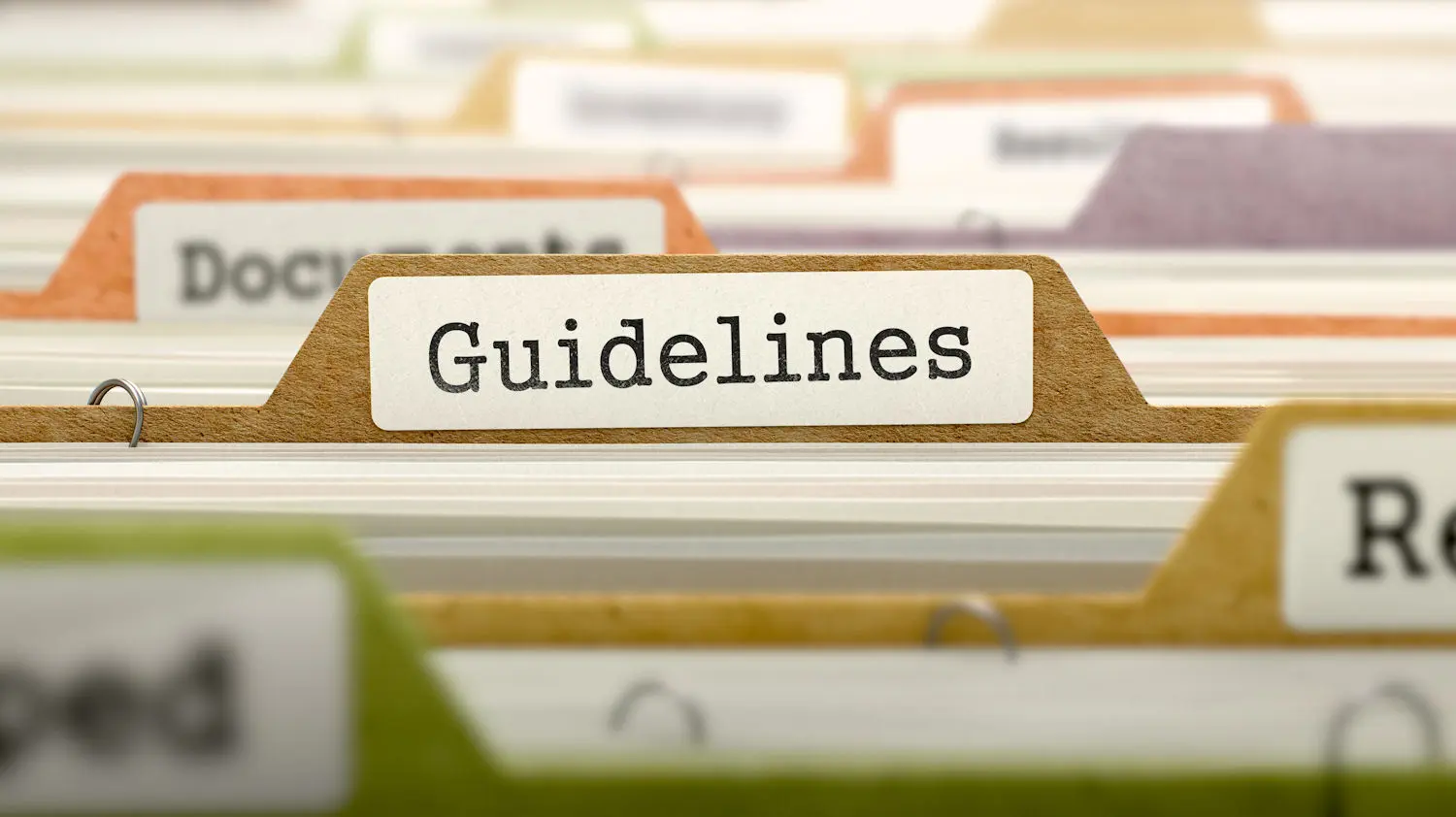 DEKRA Compliance Guideline