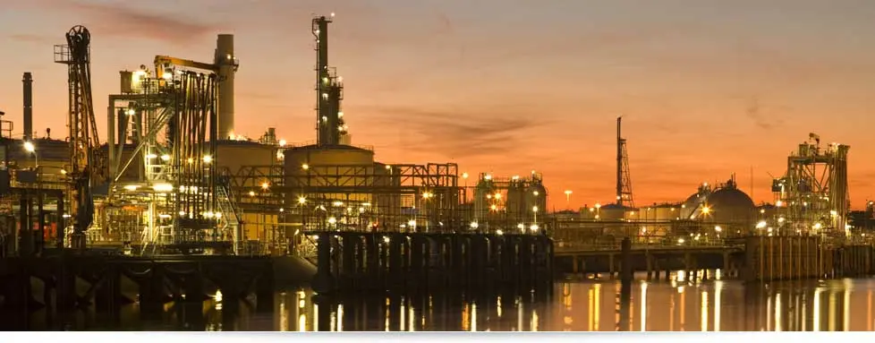 Night view of a plant