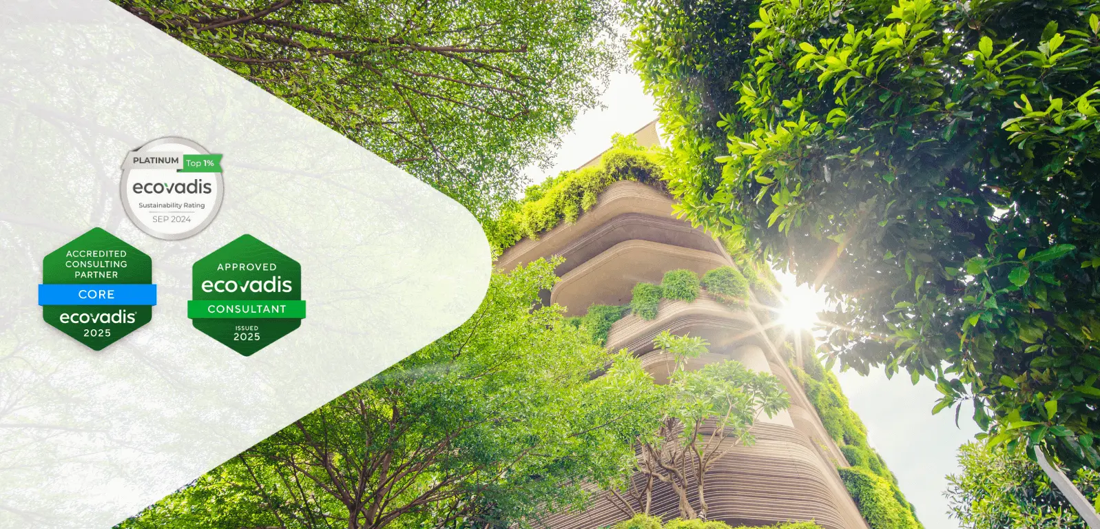 EcoVadis Submission