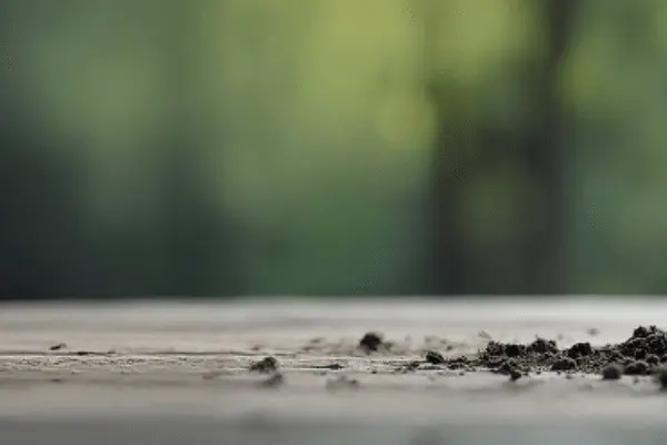 EU Battery Regulation