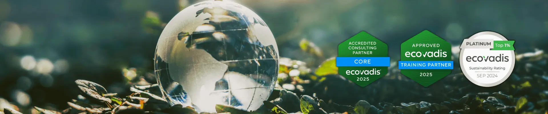 EcoVadis Rating stage EcoVadis Rating stage