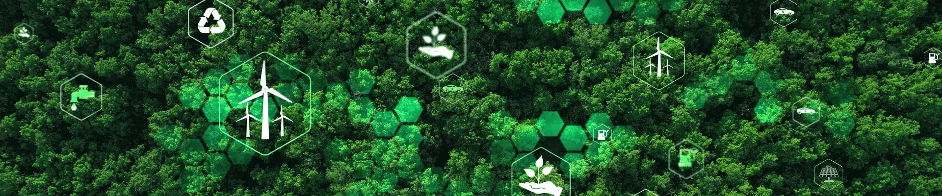 product life cycle stage image