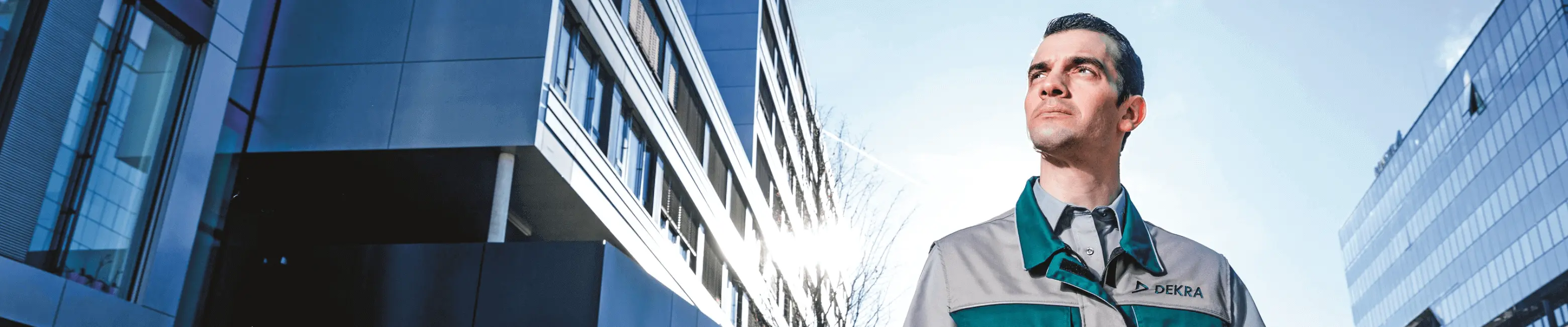 Especialista DEKRA
