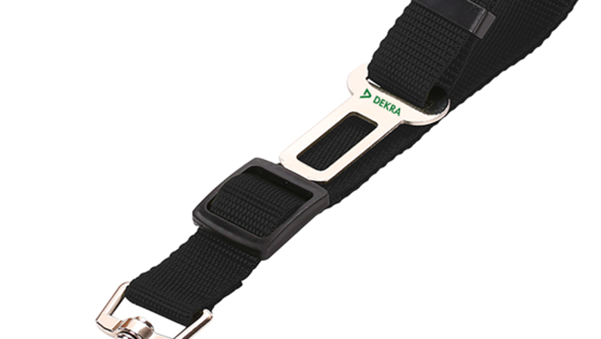 Pet Seatbelt