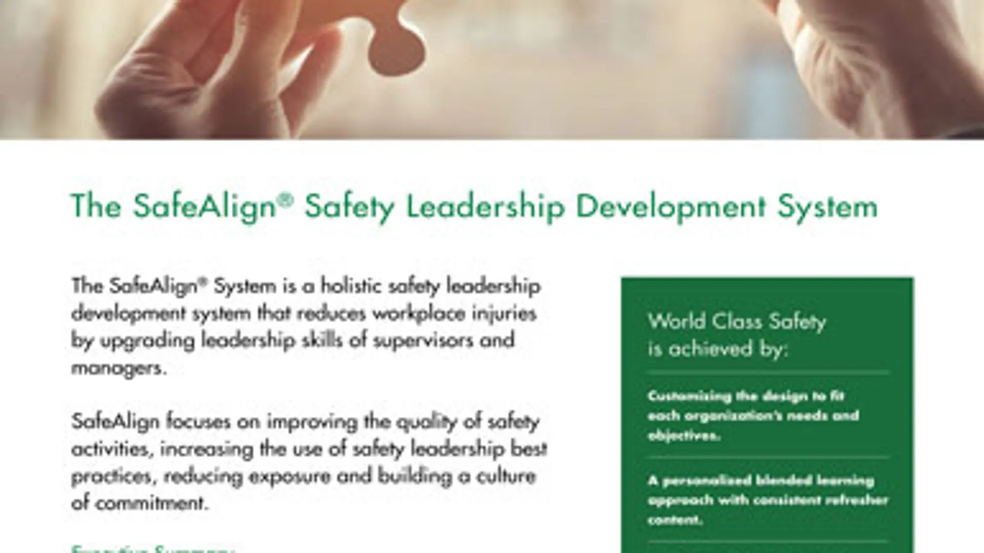 The SafeAlign® Safety Leadership Development System The SafeAlign® Safety Leadership Development System