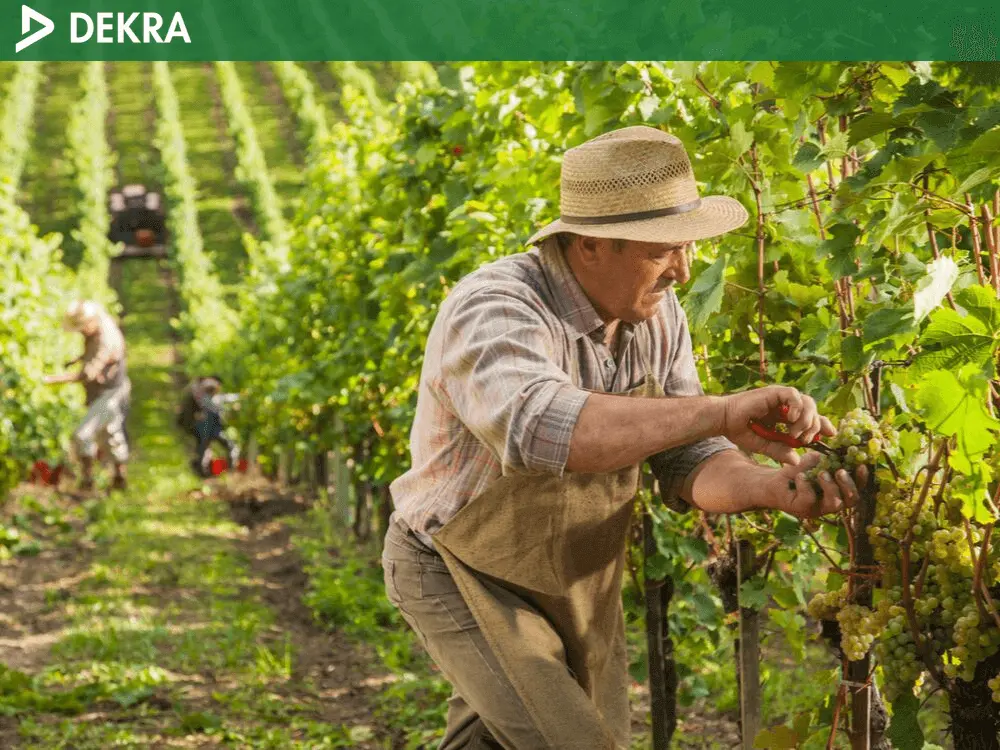  E & J Gallo Client Story