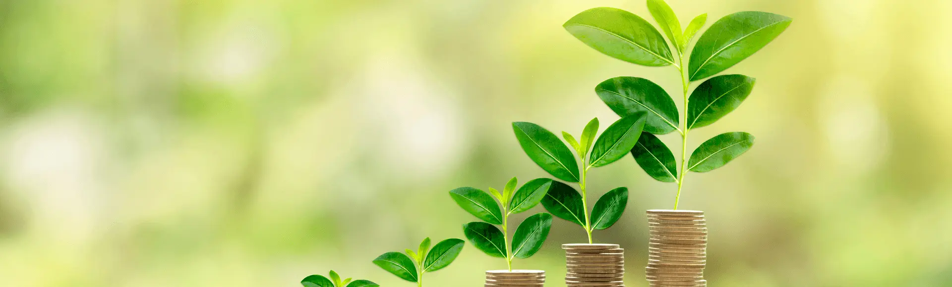 bilnacio di sostenibilità bilnacio di sostenibilità