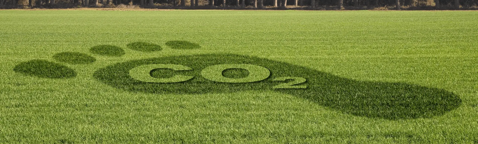 carboon footprint carboon footprint