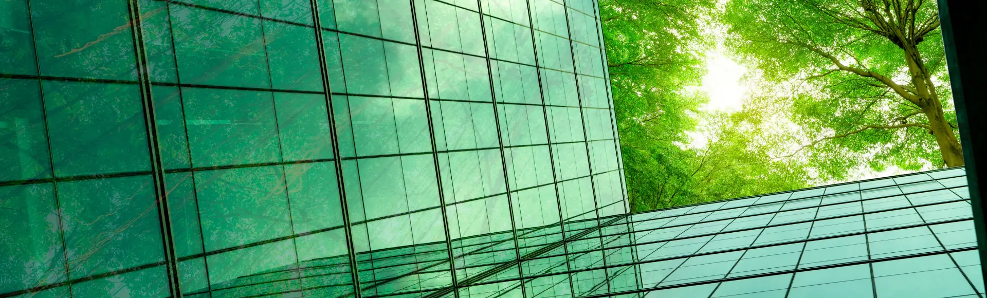 Certificazioni e ispezioni regolamentate