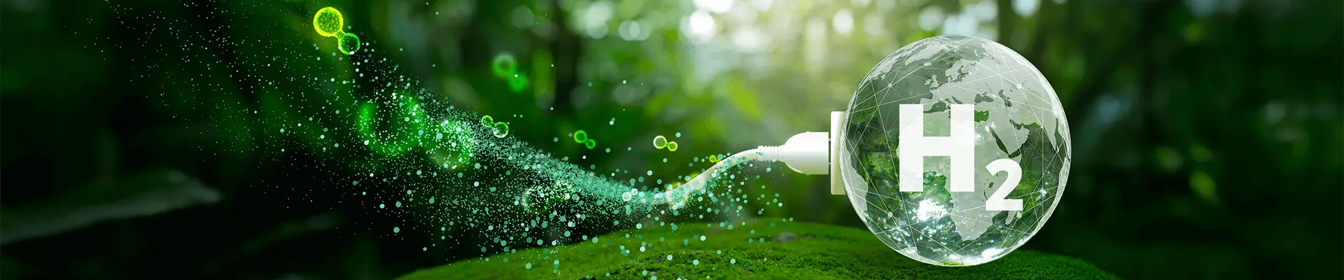 Servizi per il ciclo di vita dell'idrogeno