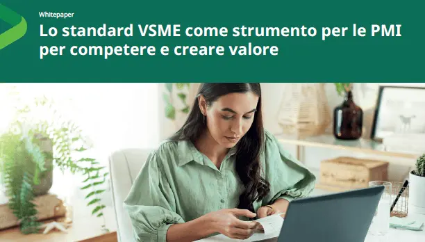 Whitepaper VSME